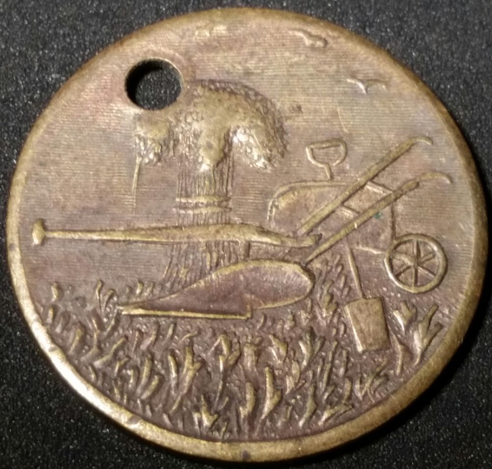 Need-Information-On-This-Hairy-Horse-Token?